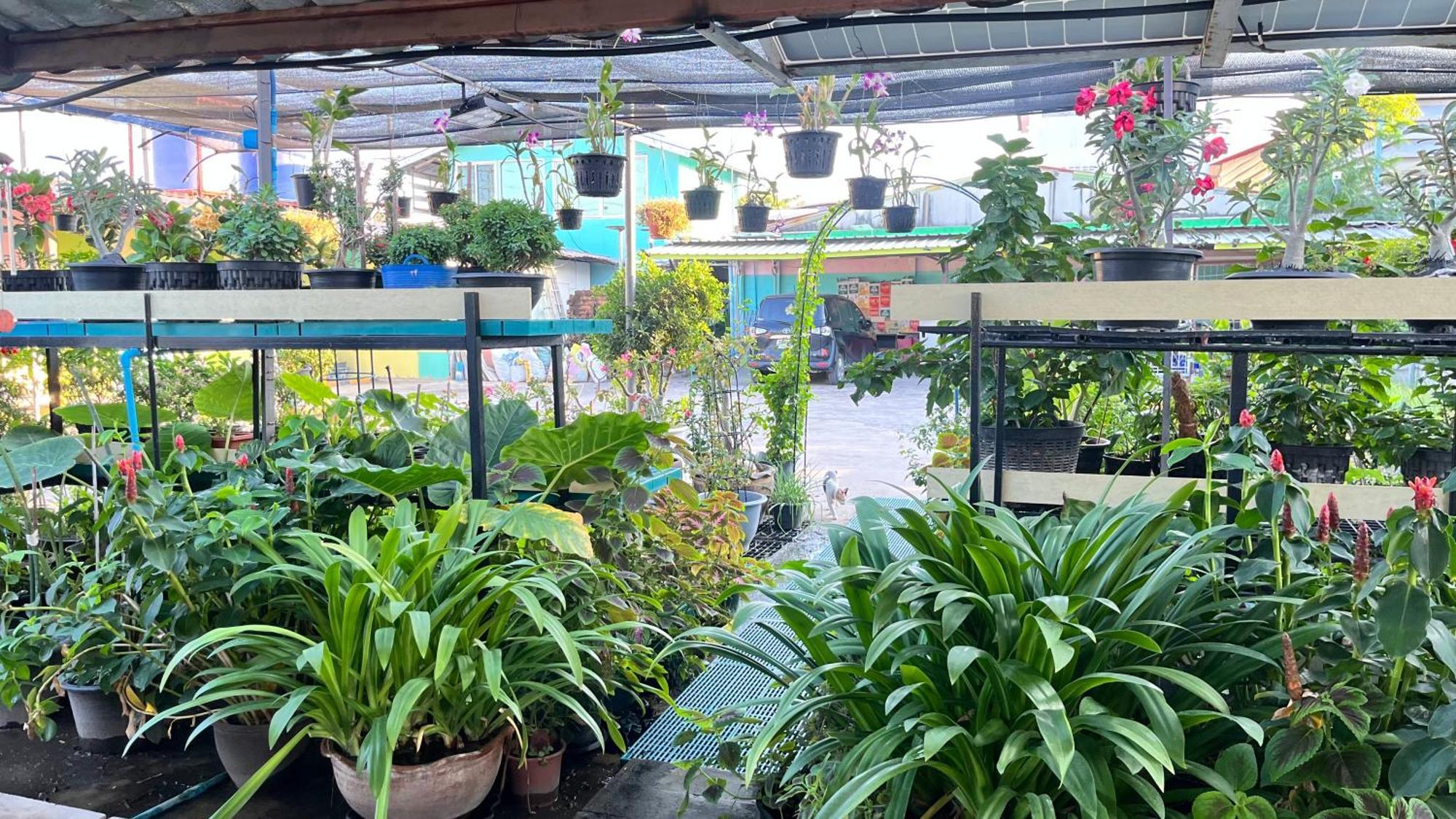 Pa Chalermchai Guesthouse Bangkok Exterior photo